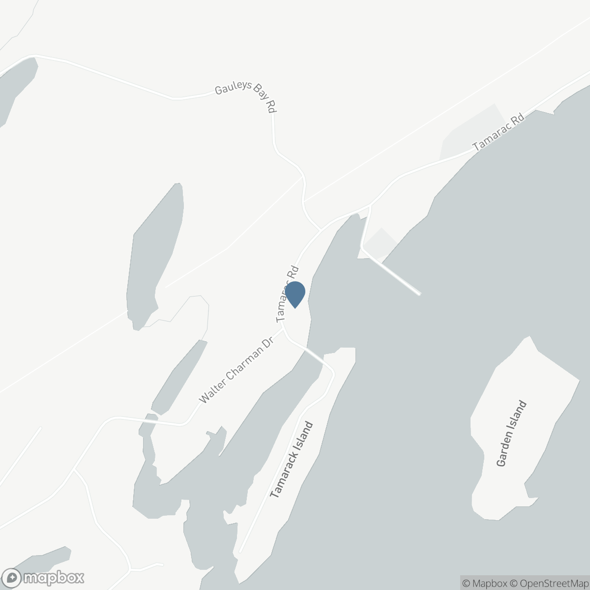 193 TAMARAC ROAD, Lion's Head, Ontario N0H 1W0